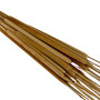 Typha Natural