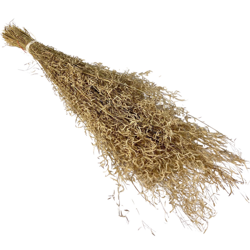 Natural Munni Grass